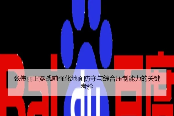 张伟丽卫冕战前强化地面防守与综合压制能力的关键考验